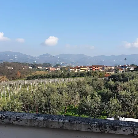 Il Brigidino アパート *